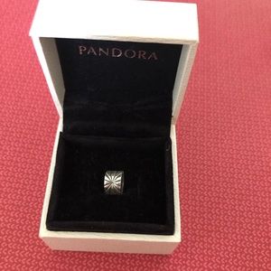 Pandora Silver Charm